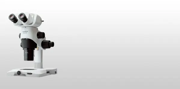 Die Herausforderungen der Bildgebung in den Biowissenschaften und Materialwissenschaften meistern